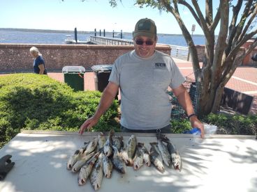 An angler displaying a catch of multiple Speckled Trout on a cleaning table at a waterfront location.