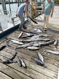 Two anglers sorting through a large catch of various fish, including King Mackerel and Black Sea Bass, on a dock after a successful fishing trip.