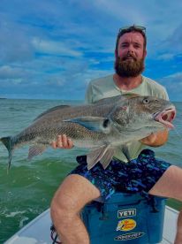 2 separate full day trips