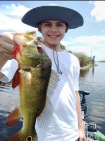 Everglades family fishing trip in April.