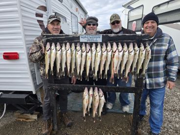 Group of anglers proudly displaying a catch of Walleye on a board after a successful fishing trip.