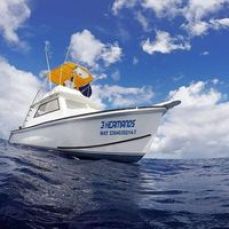 Oscar Tres Hermanos Cozumel Fishing profile photo