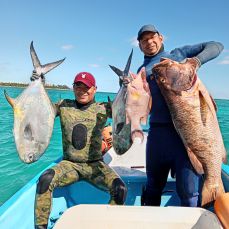 Easy Spearfishing profile photo