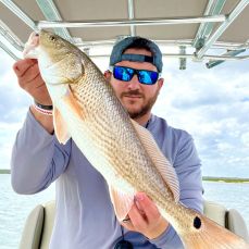 Mark Robbins profile photo