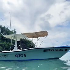 Francisco Arguedas profile photo