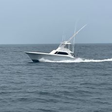 Patriot Sportfishing  profile photo