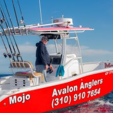 Martin Kausie profile photo