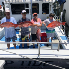 Seth Wilson profile photo