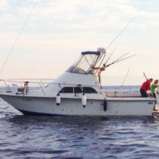 Ivan Hor\u017ei\u0107