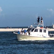 Jus Cuz Fishing Charters profile photo