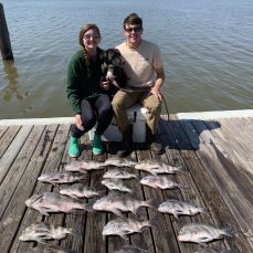 Wilder Wing profile photo