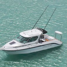 Murray Story profile photo