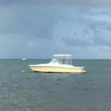 Lonny Miller profile photo