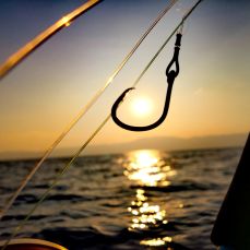 Renato Franko profile photo