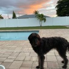 Floridaze Fishing Charters – Bokeelia