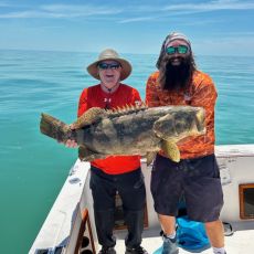 Dylan Scoble profile photo