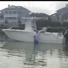 Joe Currie profile photo