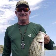 Rodney Castleman profile photo