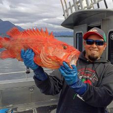  Puerto Vallarta Calypso Fishing profile photo