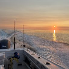 John & Kelly Gagne profile photo