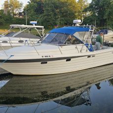 Stephen Sheldon profile photo