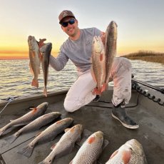 Matthew Pope profile photo