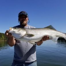 Mickey Holbrook profile photo