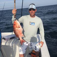 Stephen Hess profile photo