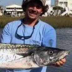 William Mullins profile photo