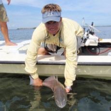 Mike Mann profile photo