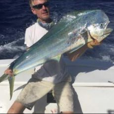 Magnus Nilsson profile photo