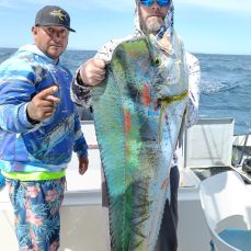 Jorge Gamiño Alvarez profile photo