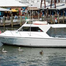 A&B Deep Sea Fishing Charters profile photo