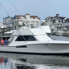 Mark Malamphy profile photo