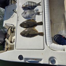 Fishfinatic Guide Service