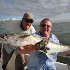 Steve Roff profile photo