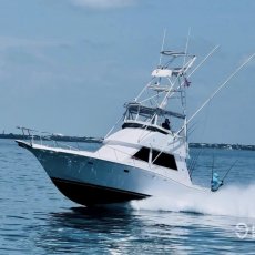 Anglers Choice Sport Fishing profile photo