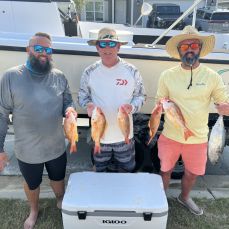 Eric Guerra profile photo