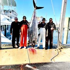 Mike Warren profile photo