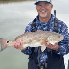 Robert Brown profile photo