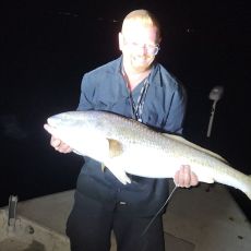 Wesley Williams profile photo