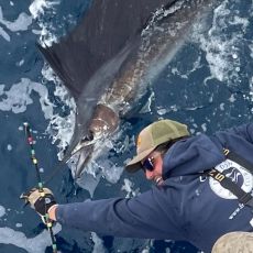 James Carven profile photo