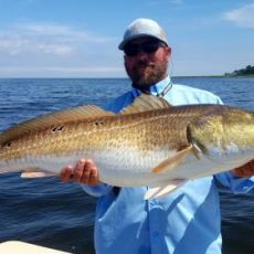 Raymond Brittain profile photo