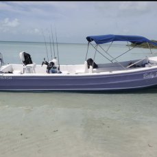 Robert Bradley profile photo