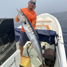 Out Of The Blue  profile photo