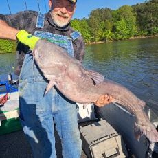 Mark Filley profile photo