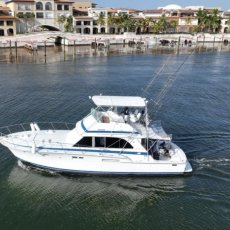 Blue Marine Punta Cana profile photo