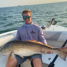 Ari Looney profile photo