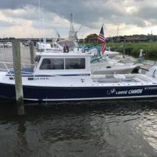 Gregory Fabrizzi profile photo