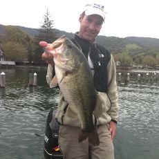 Steve Perkins profile photo